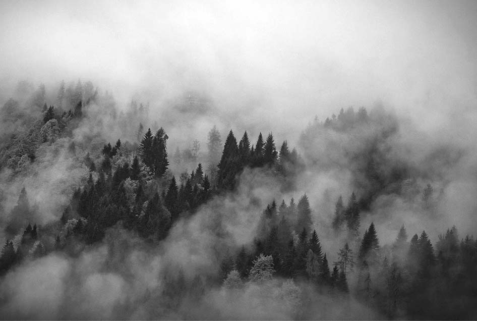 Wood Feelings